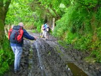 boue tineo  the mud...